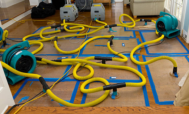 Professional Basement Flood Cleanup technician working in Jenera, OH